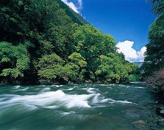 《寂静岭2：重制版》开发者没有太多权限进行创新